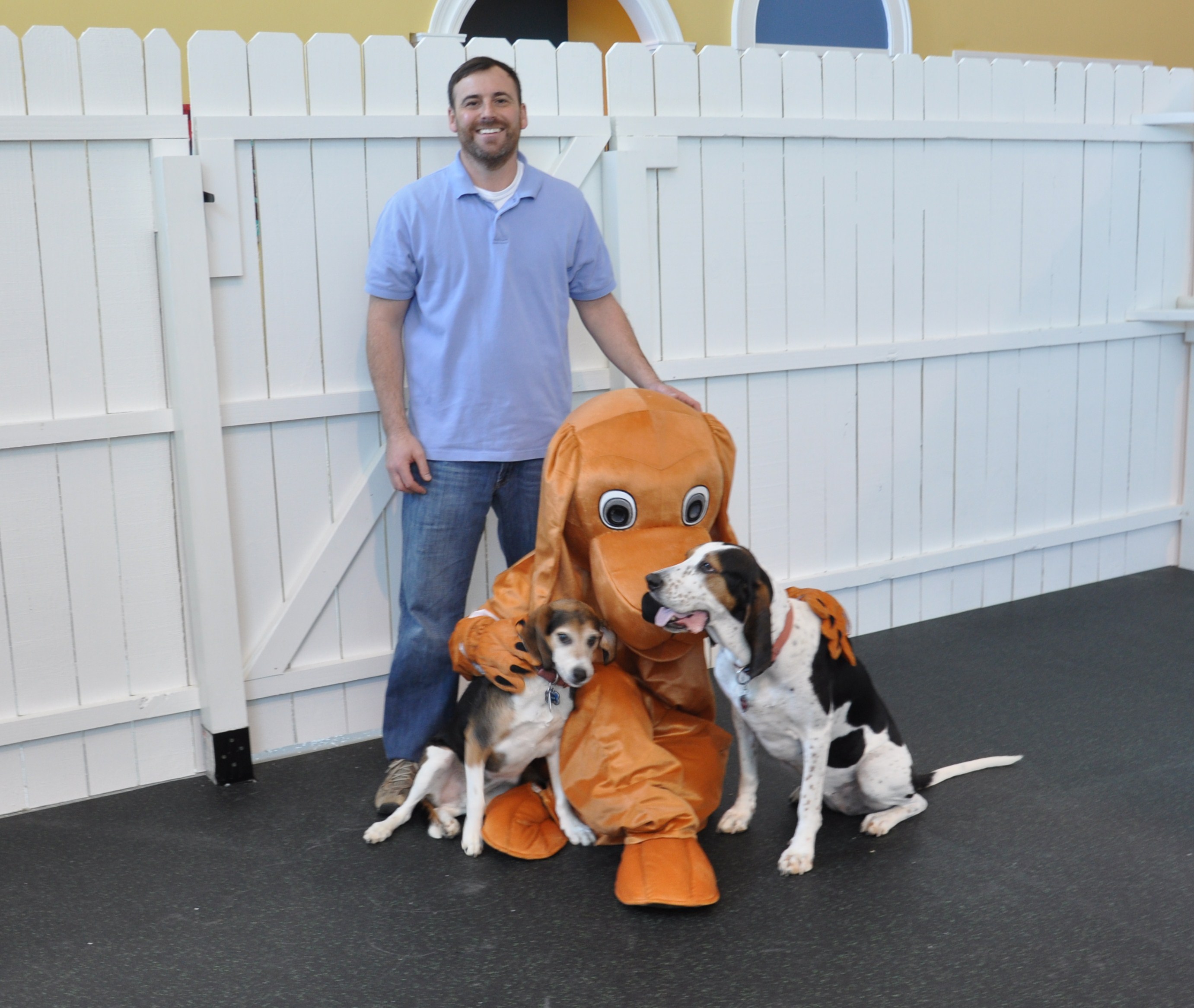 brandon at healthy hound dog daycare and boarding in sterling va