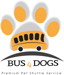 Premium dog day care shuttle service to Healthy Hound Playground in Chantilly VA