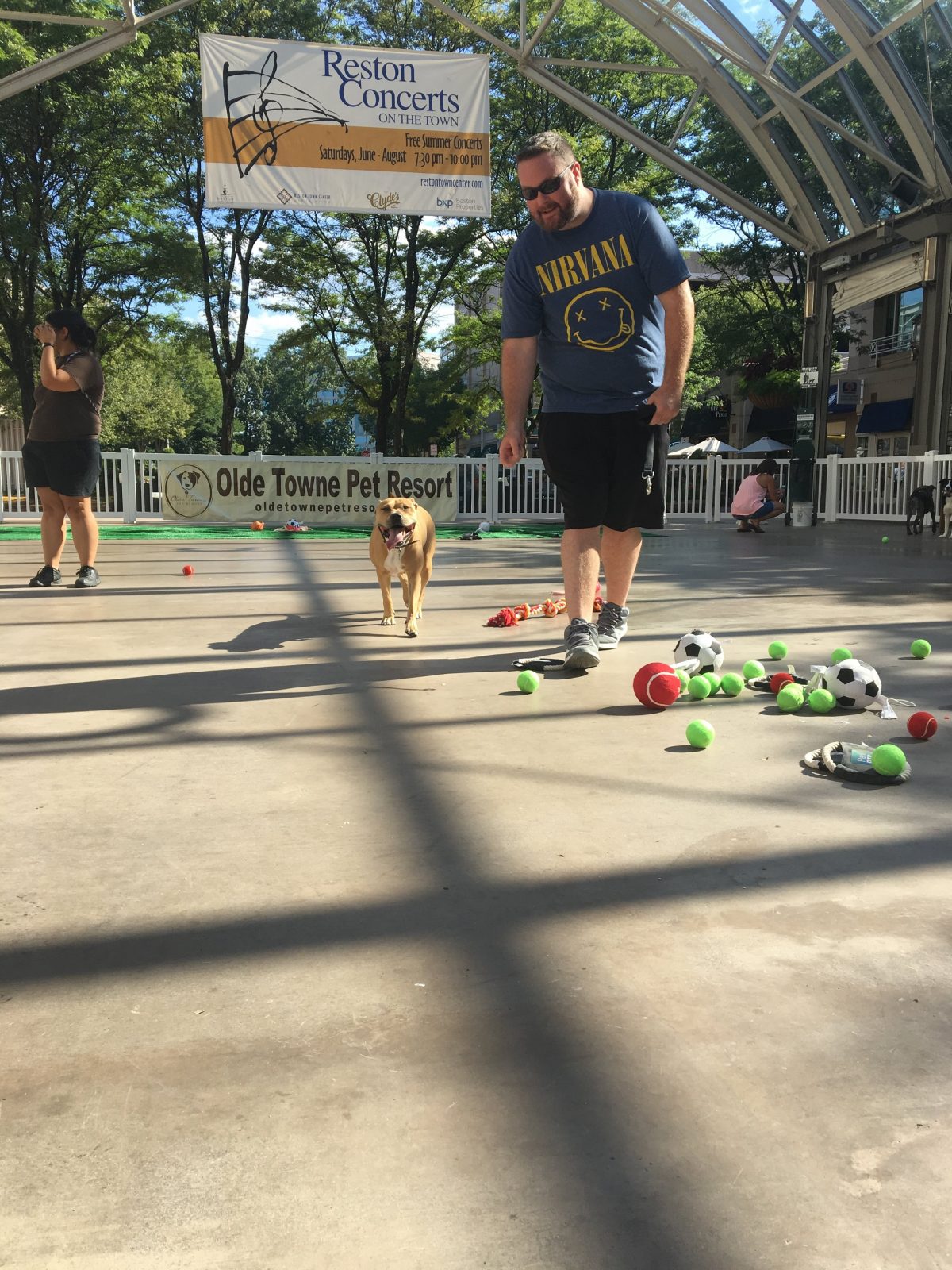 Reston Town Center Weekly Dog Park under the Pavilion 'Dog Days of