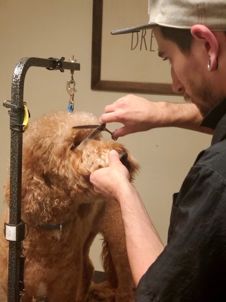 dog grooming in herndon va