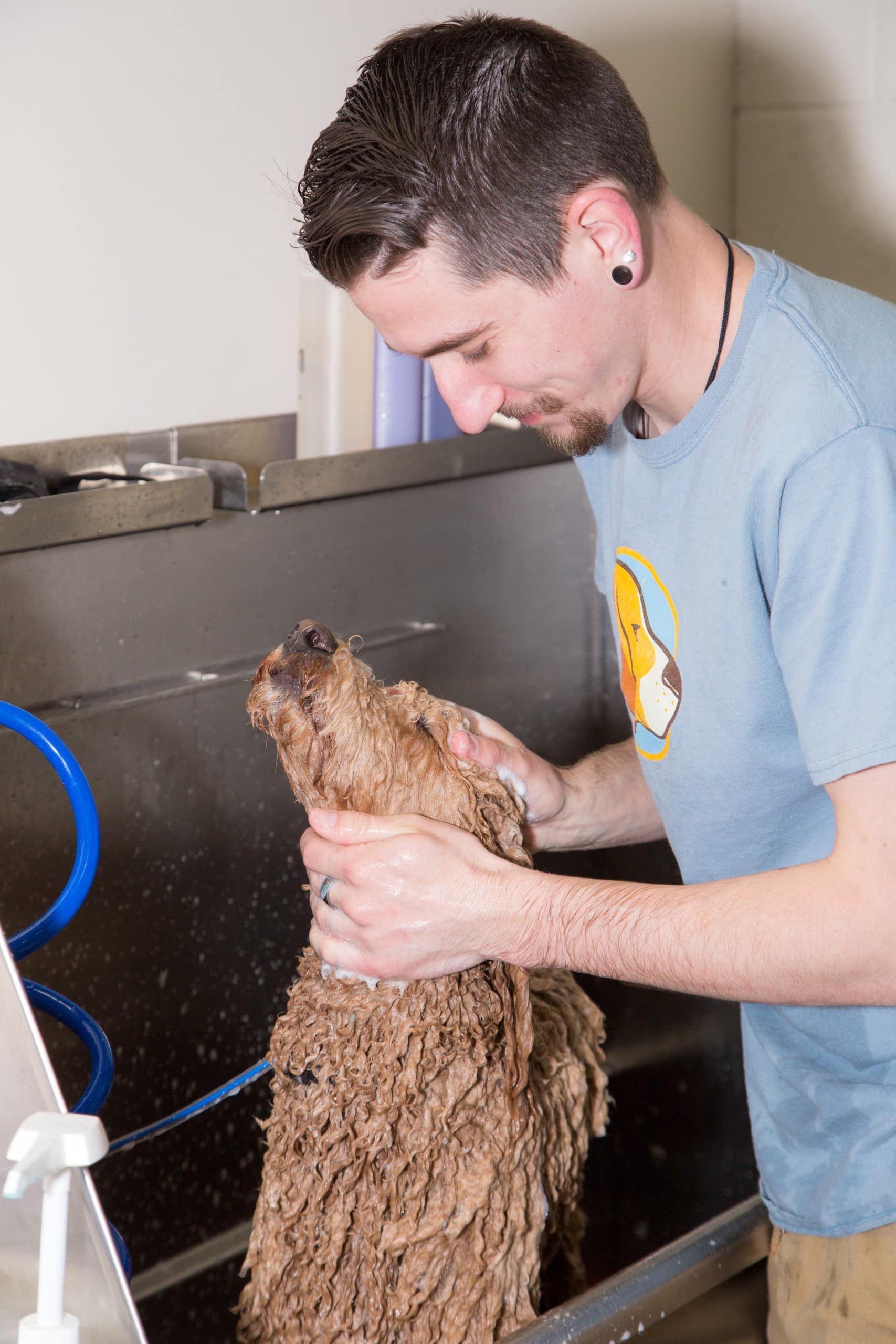 Erik provides dog grooming in sterling va