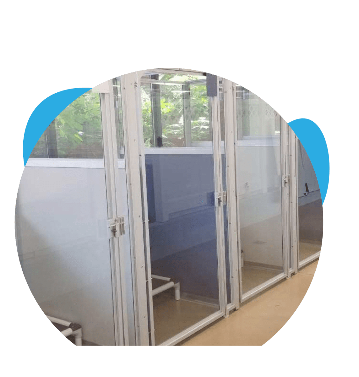 5⭐️ Dog Boarding in the Reston Ashburn Centreville Chantilly VA Areas