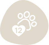 Group 298